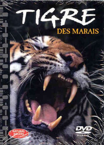 Tigre des marais